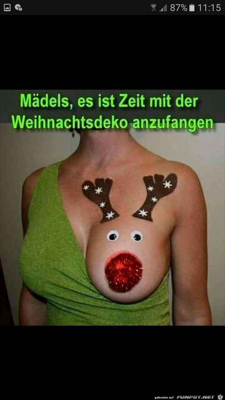 Weihnachtsdeko schon gemacht?