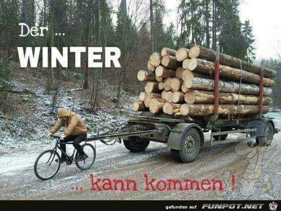 Der Winter