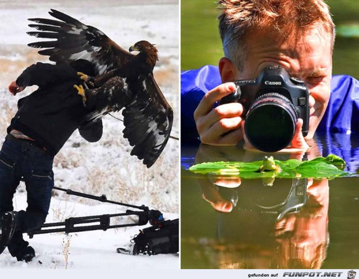 Fotografen10 Fotografen10