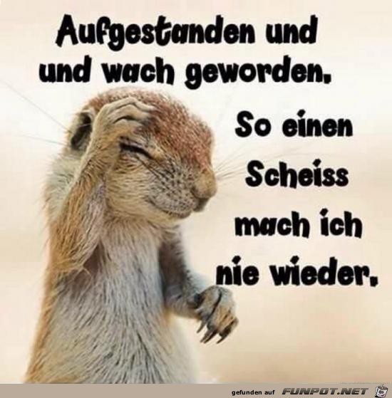 aufgestanden und wach geworden....