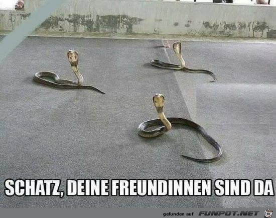 Du hast Besuch Du hast Besuch
