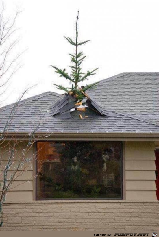 Der Weihnachtsbaum steht Der Weihnachtsbaum steht