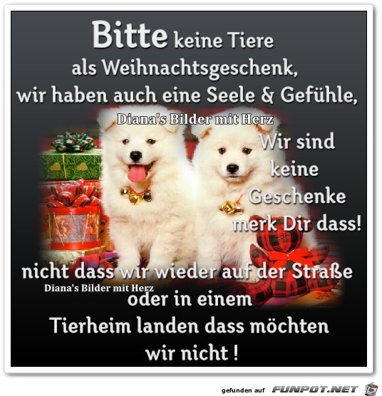 Bitte keine Tiere