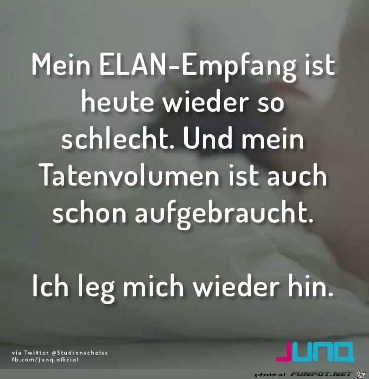 Tatenvolumen Tatenvolumen