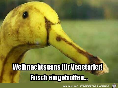 Weihnachtsgans Weihnachtsgans