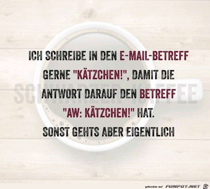 Kätzchen Kätzchen