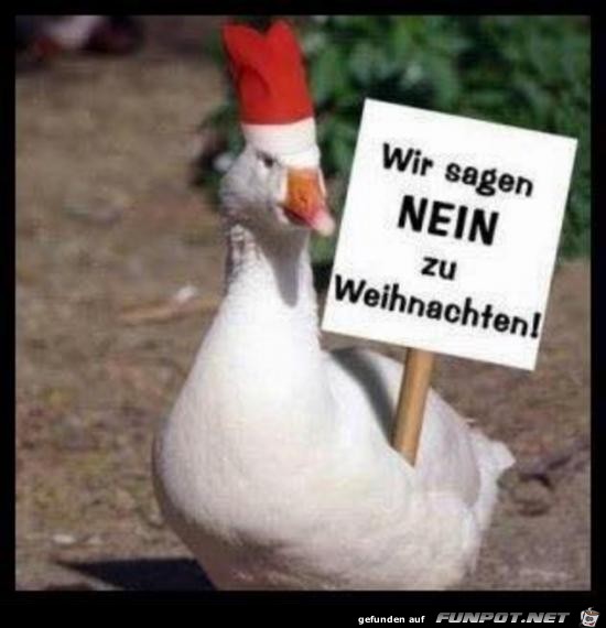 wir sagen nein.....