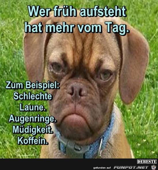 wer füh aufsteht....... wer füh aufsteht.......