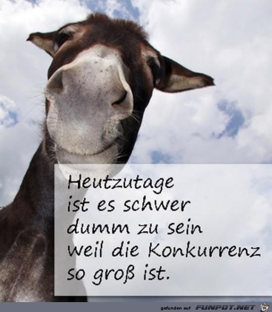 heutzutage ist es schwer.....