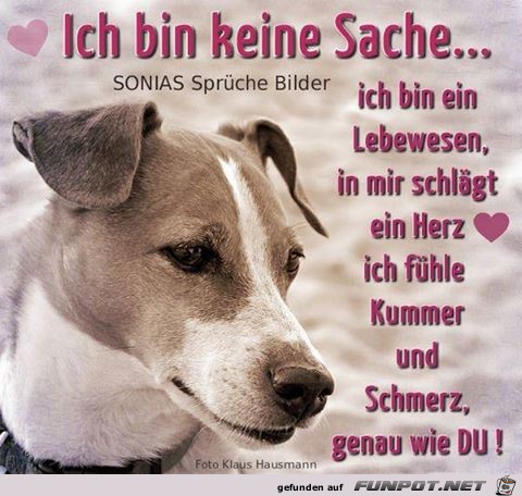 Bin keine Sache Bin keine Sache