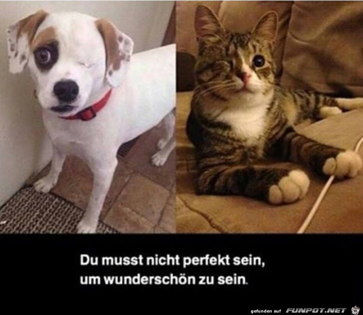 Du musst nicht perfekt sein