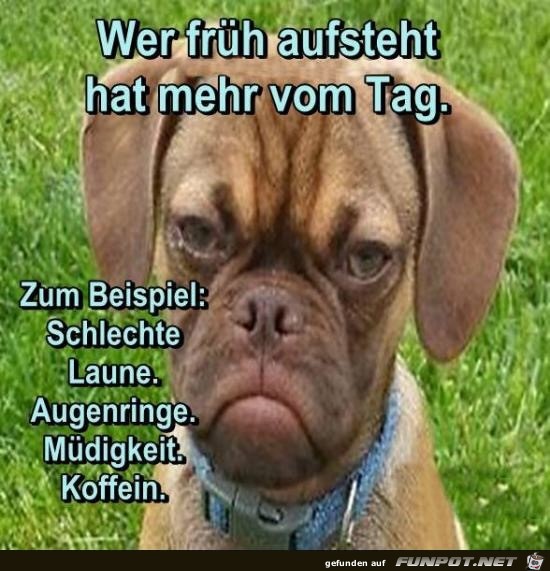 Wer frh aufsteht.....