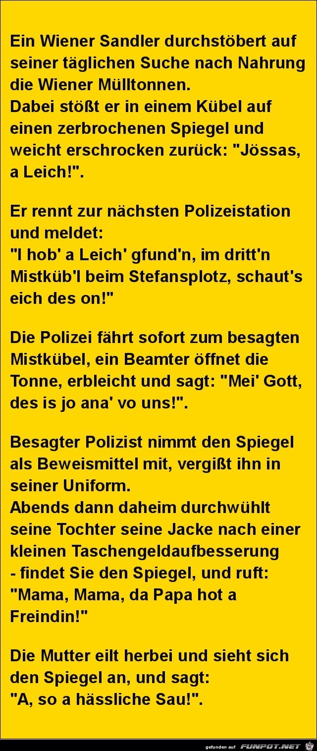 ein Wiener durchstbert.......