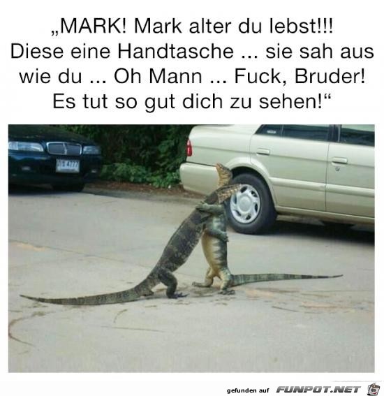 schön dich zu sehen schön dich zu sehen