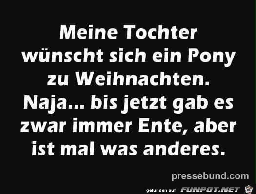 Ein Pony zu Weihnachten Ein Pony zu Weihnachten