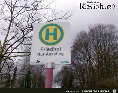 Friedhof Friedhof