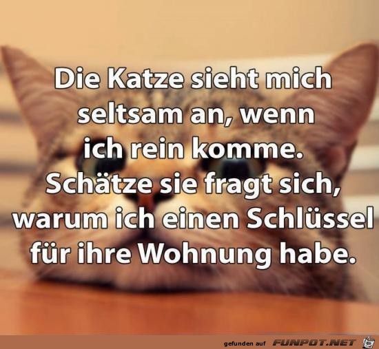 klasse Sprche und Witze!