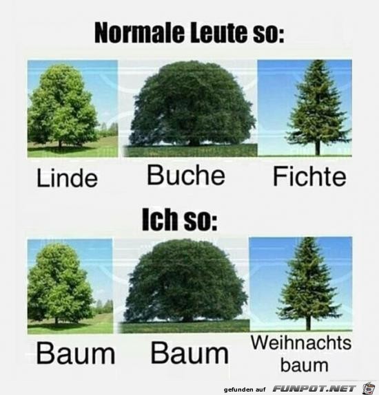 Ein echter Kenner Ein echter Kenner
