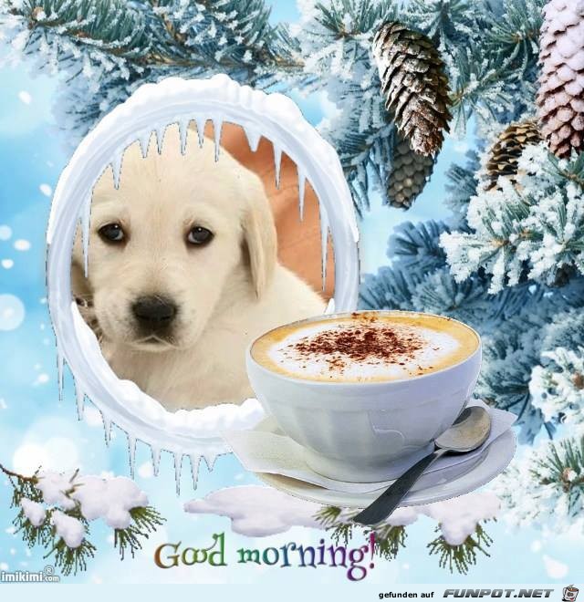 Gord morning Gord morning