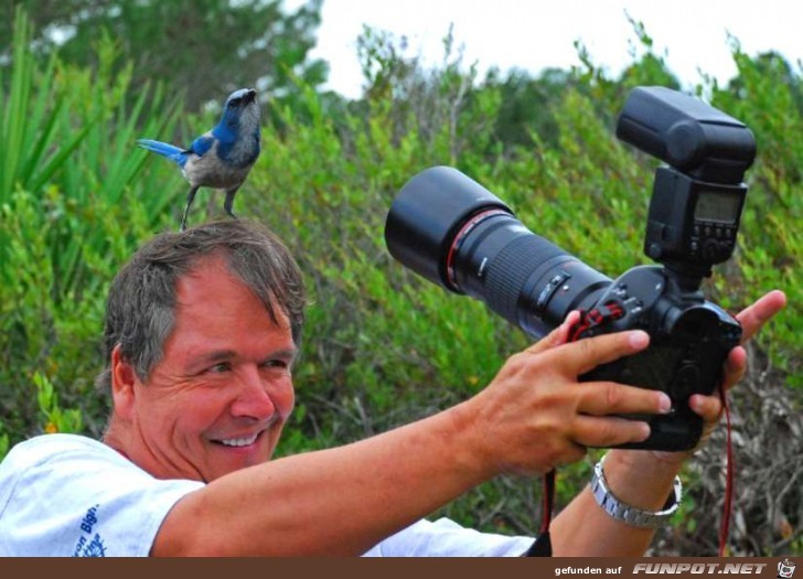 Fotografen12 Fotografen12