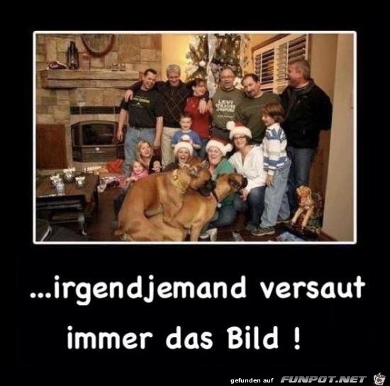 Bild versaut