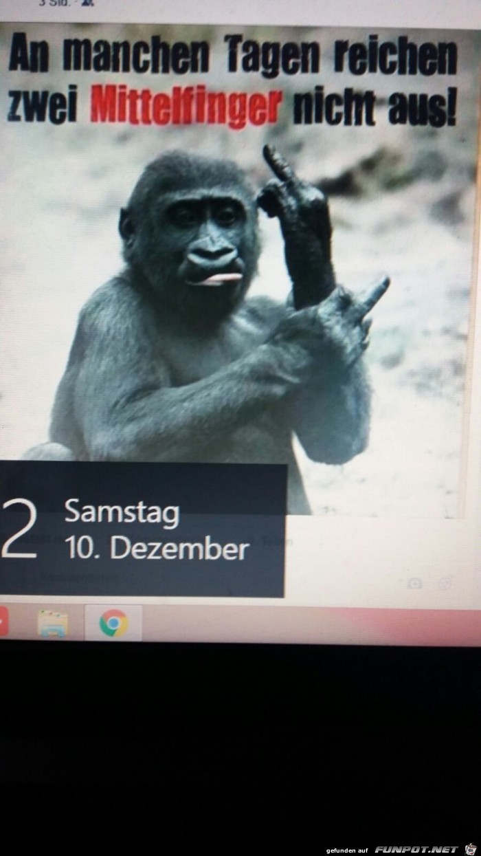 Mittelfinger Mittelfinger
