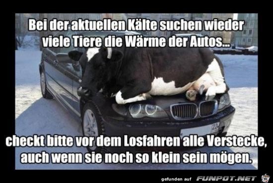 bei der aktuellen Kälte....... bei der aktuellen Kälte.......