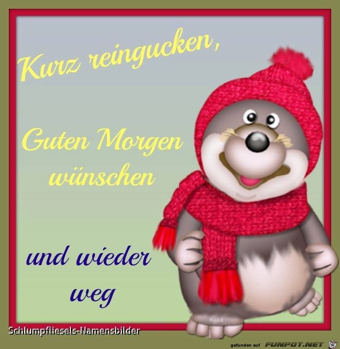 Kurz reingucken Kurz reingucken