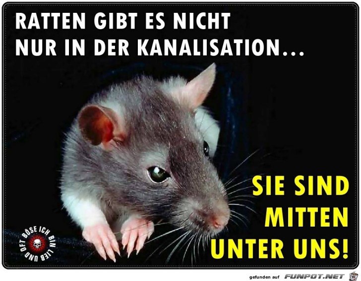 Ratten gibt es nicht Ratten gibt es nicht