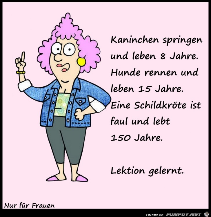Lektion gelernt Lektion gelernt