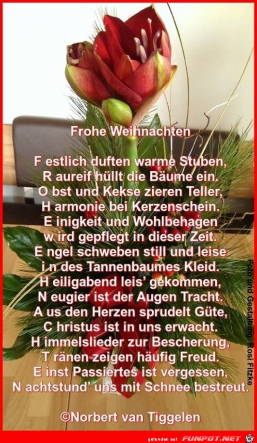 frohe weihnachten