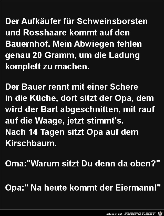 der Aufkäufer für Schweinsborsten... der Aufkäufer für Schweinsborsten...