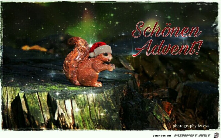 schönen Advent... schönen Advent...