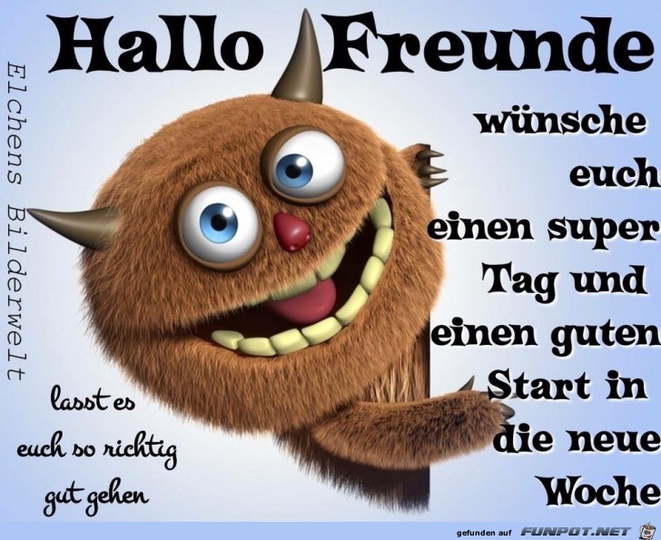 Hallo Freunde