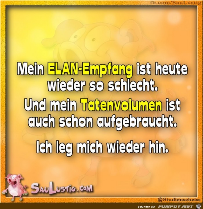 Mein-ELAN-Empfang