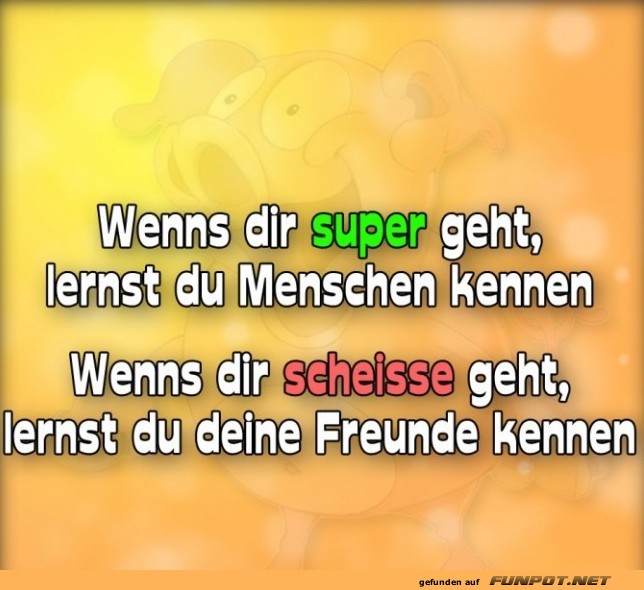 10 sch�ne Spr�che und Lebensweisheiten aus...