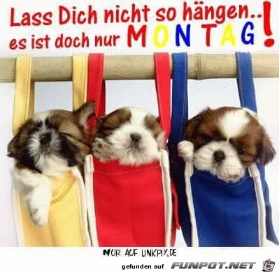 Lass dich nicht so haengen