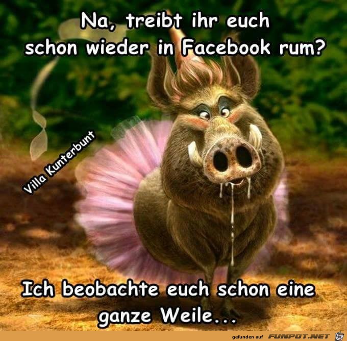 Beobachte euch schon lange Beobachte euch schon lange