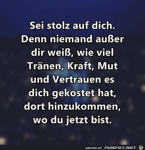 sei stolz auf dich.....