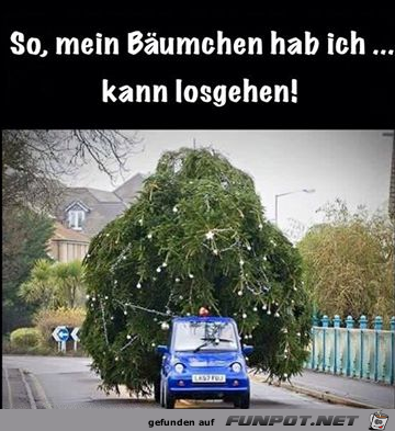 Der Baum ist besorgt