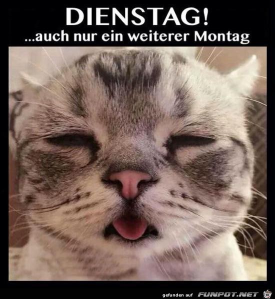 Dienstag