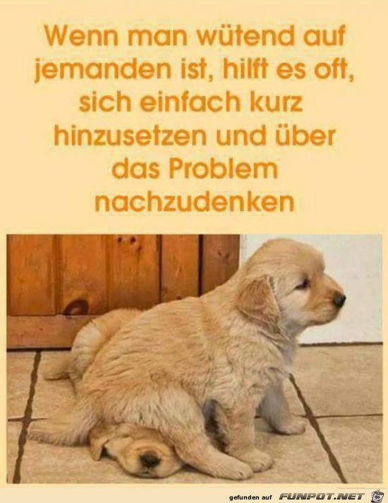 wenn man wütend auf jemanden ist...... wenn man wütend auf jemanden ist......