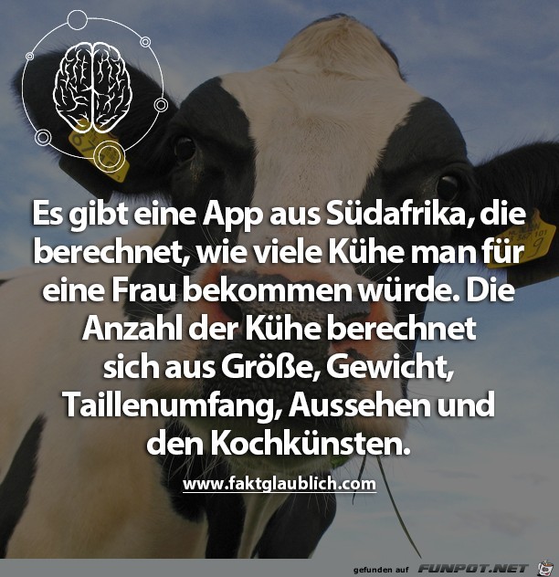 Es gibt eine App