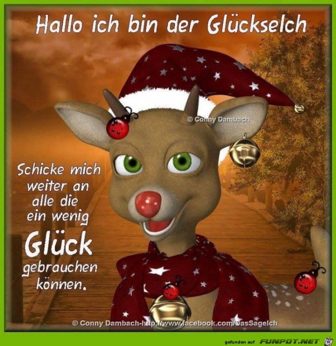 Hallo bin der Glckselch