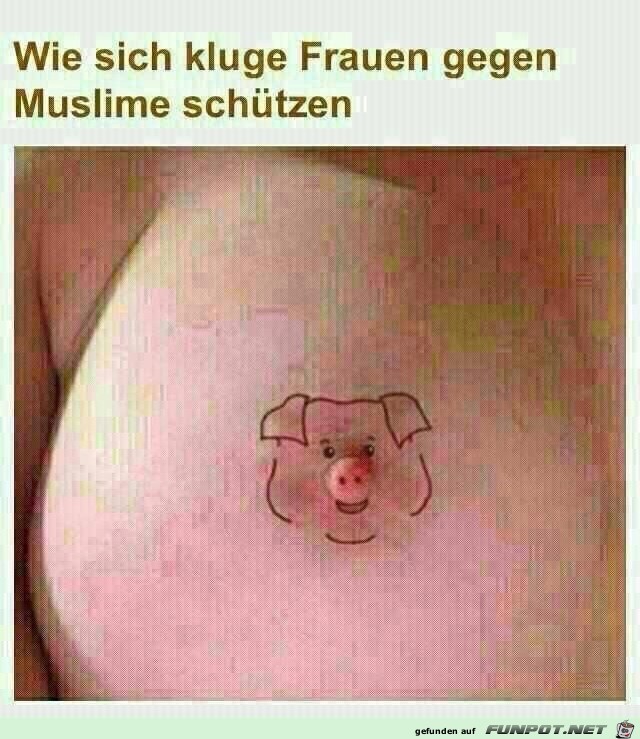 Gegen Muslime schtzen