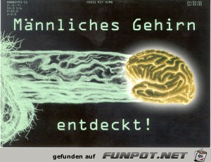 Gehirn gefunden Gehirn gefunden