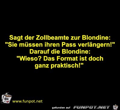 Sagt der Zollbeamte zur Blondine: Sie müssen ihren Pas Sagt der Zollbeamte zur Blondine: Sie müssen ihren Pas