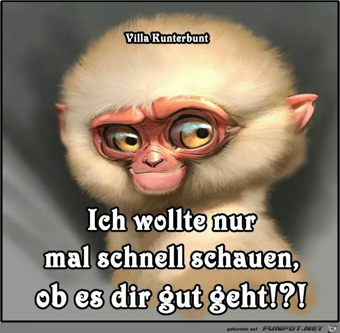 Wollte nur schnell schauen Wollte nur schnell schauen