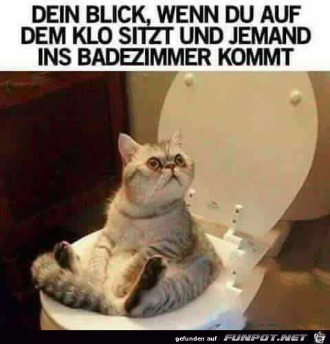 Dein Blick Dein Blick