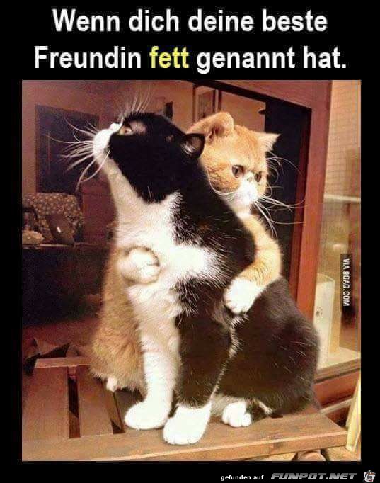 Wenn ich deine Wenn ich deine
